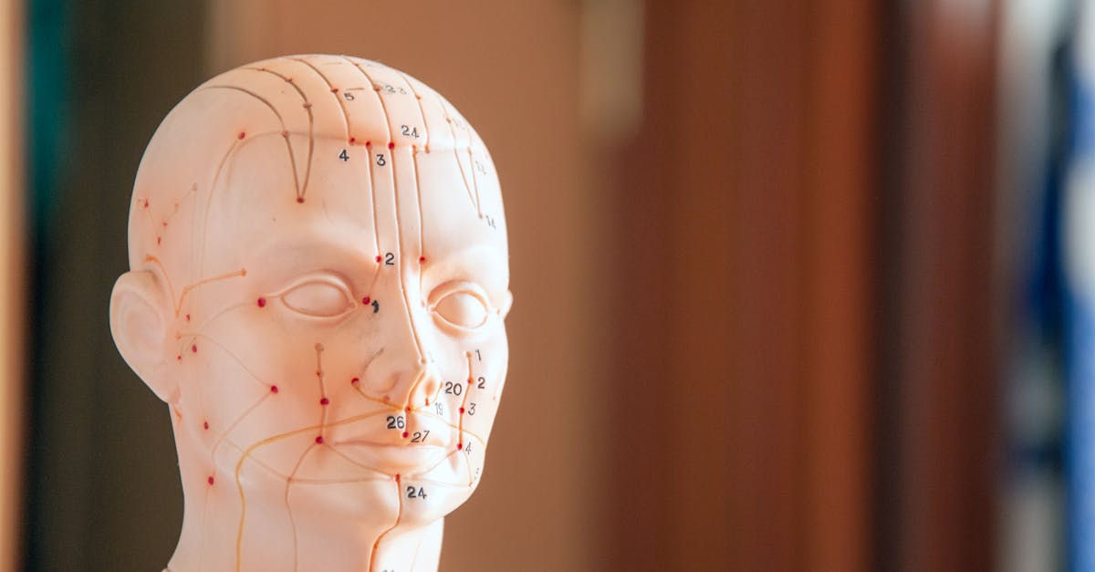 découvrez l'acupression, une technique de médecine traditionnelle chinoise qui utilise la stimulation des points d'acupuncture pour soulager le stress, améliorer le bien-être et favoriser la guérison. apprenez les bienfaits et les méthodes pratiques de cette approche naturelle pour le corps et l'esprit.