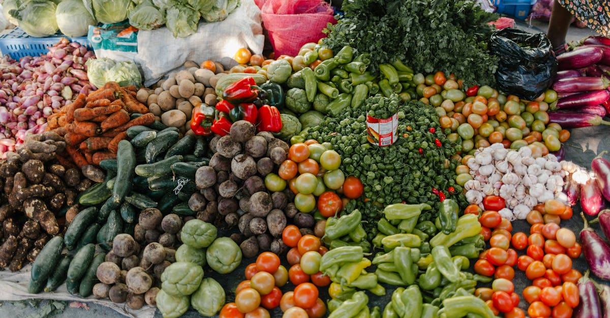 découvrez les lubrifiants bio, une alternative écologique et durable pour vos besoins industriels et personnels. fabriqués à partir de ressources renouvelables, ces produits respectent l'environnement tout en offrant des performances optimales. optez pour la durabilité sans compromettre l'efficacité!