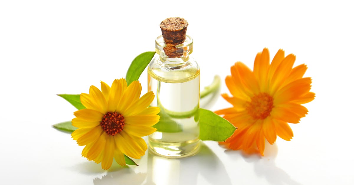 découvrez notre sélection d'huiles de massage comestibles, idéales pour des moments de détente et de plaisir à deux. profitez de textures douces et de parfums gourmands pour une expérience sensorielle unique.